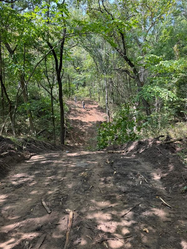 Land Clearing