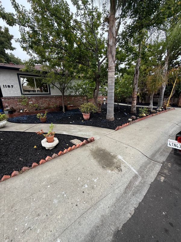 Landscaping