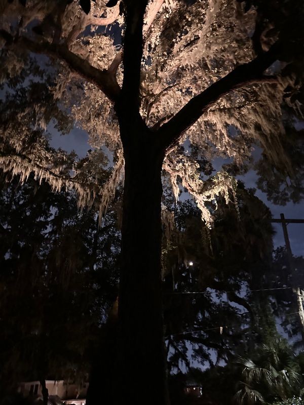 Landscape Lighting 