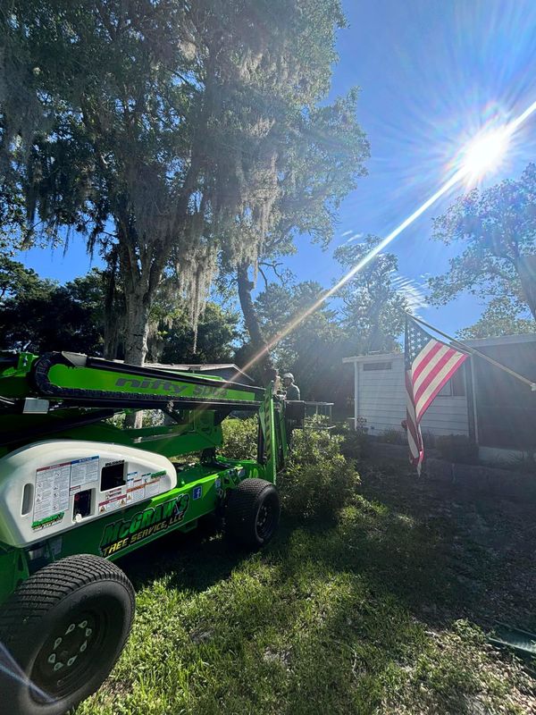 Tree Trimming and Removal