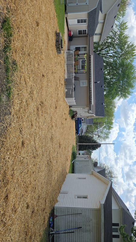 Lawn Care and Maintenance