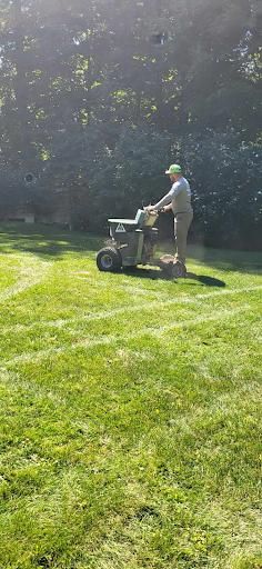 Aerating and overseeding