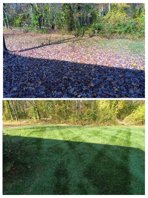 Leaf and Fall Cleanup