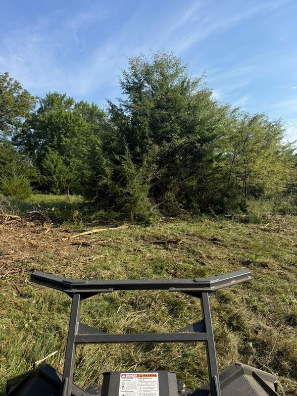 Land Clearing