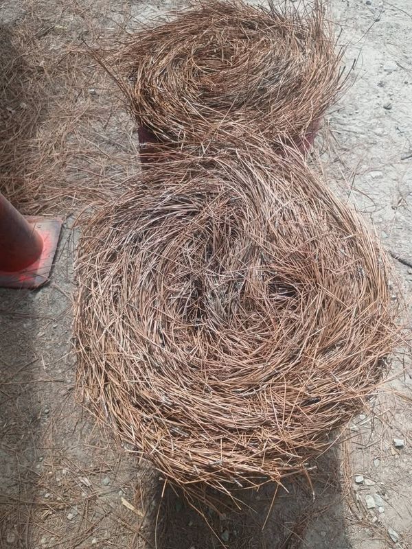 Pinestraw Installation
