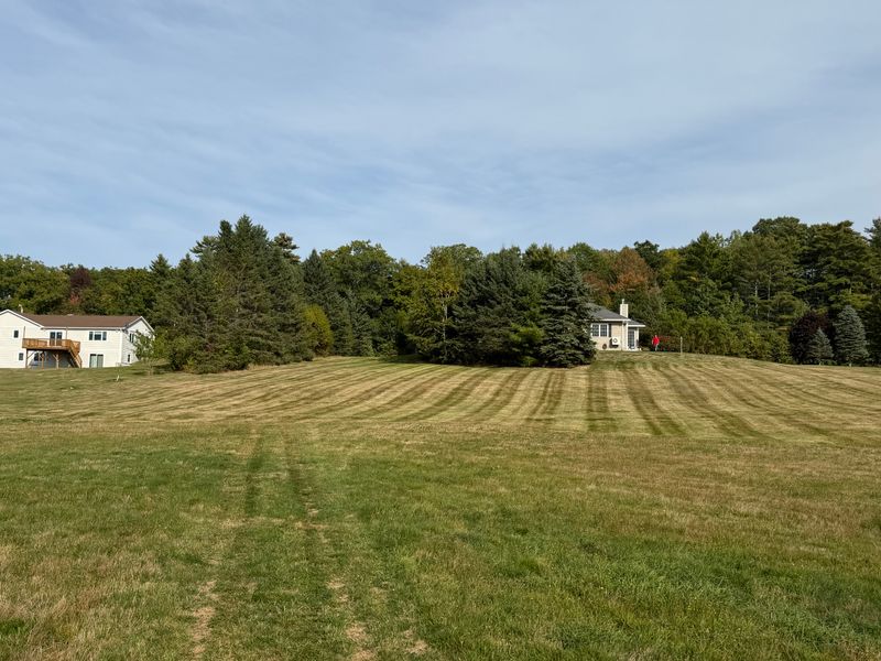 Lawn Maintenance
