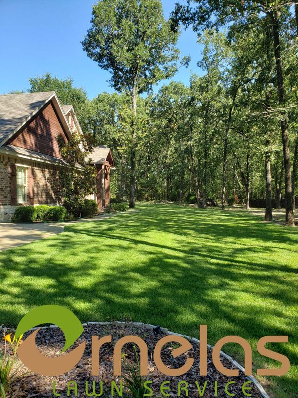 Lawn Care
