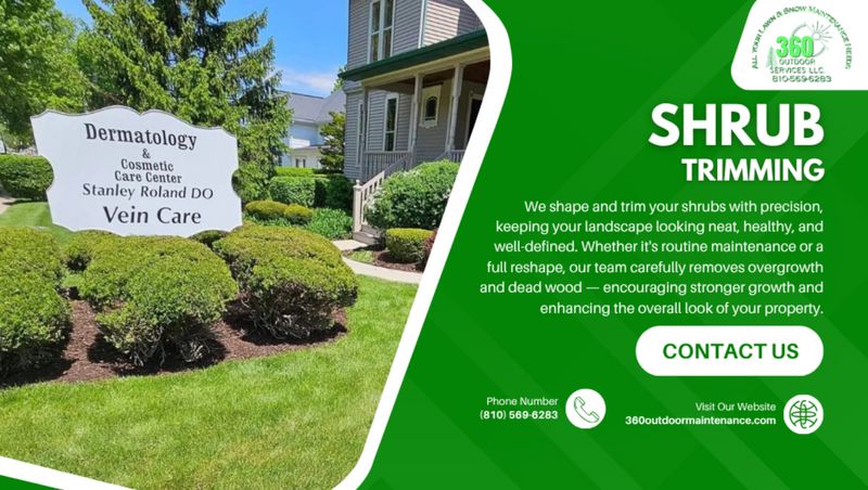Shrub Trimming