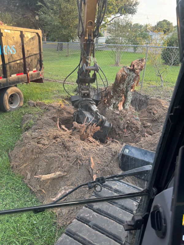 Land Clearing