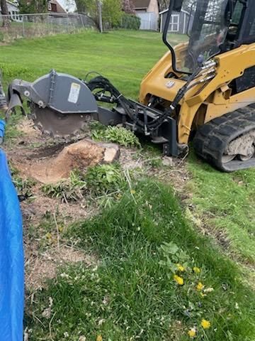 Stump Removal