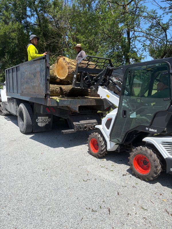 Tree Removal