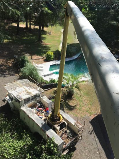 Tree Trimming & Pruning