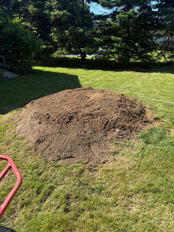 Stump Removal
