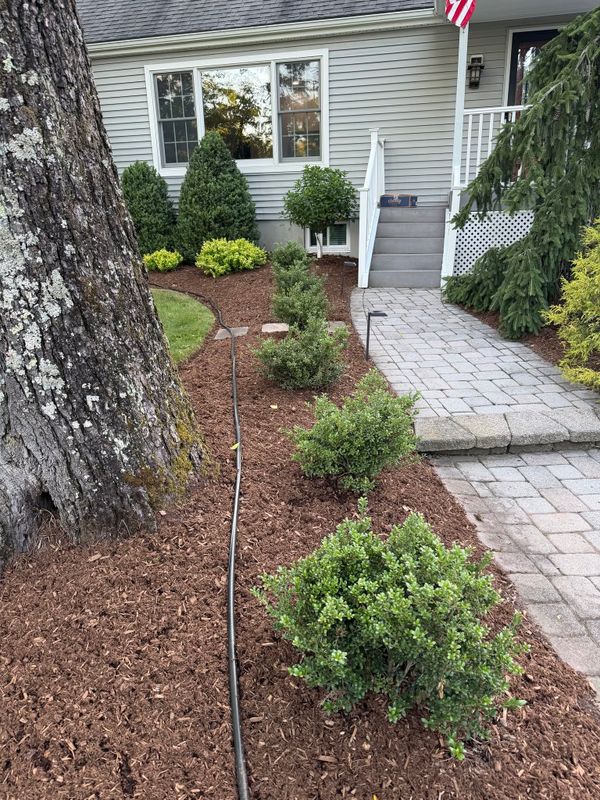 Driveway Paver Installation