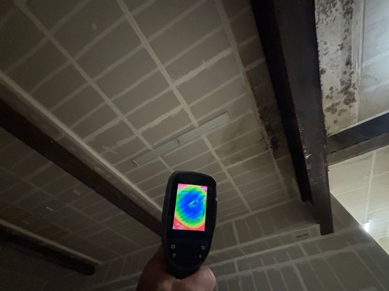 Mold Inspections