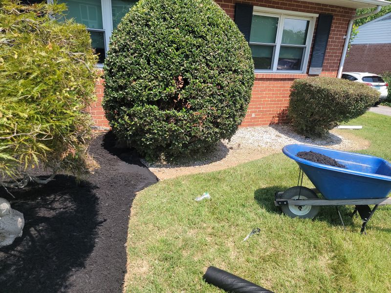 Beautiful Lawns