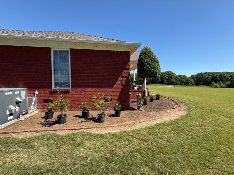 Plant & Shrub Installations