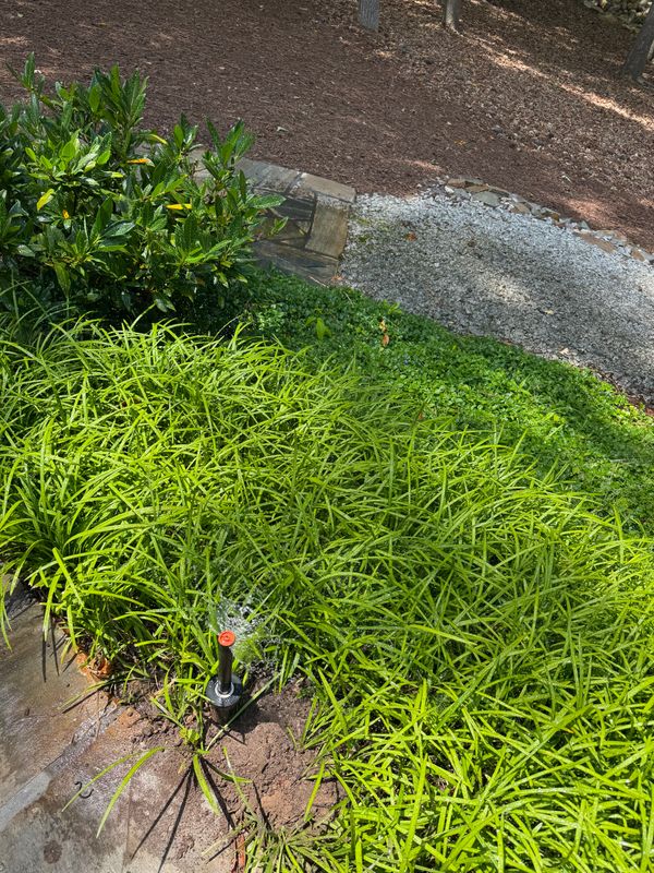 Irrigation