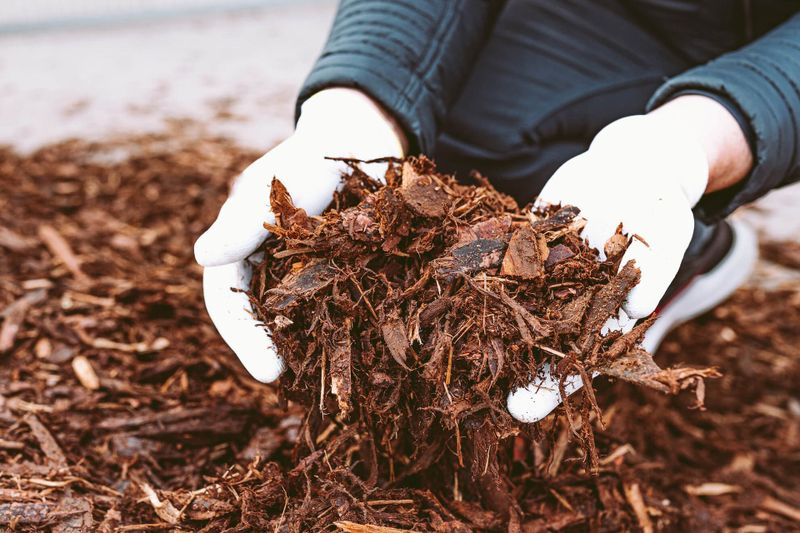 Mulch Bed Installation and Renovation
