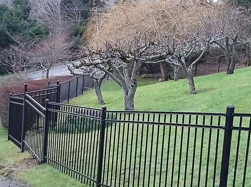 Fence Installation