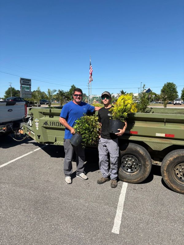 Tree & Shrub Care