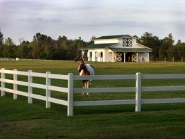 Vinyl Fence