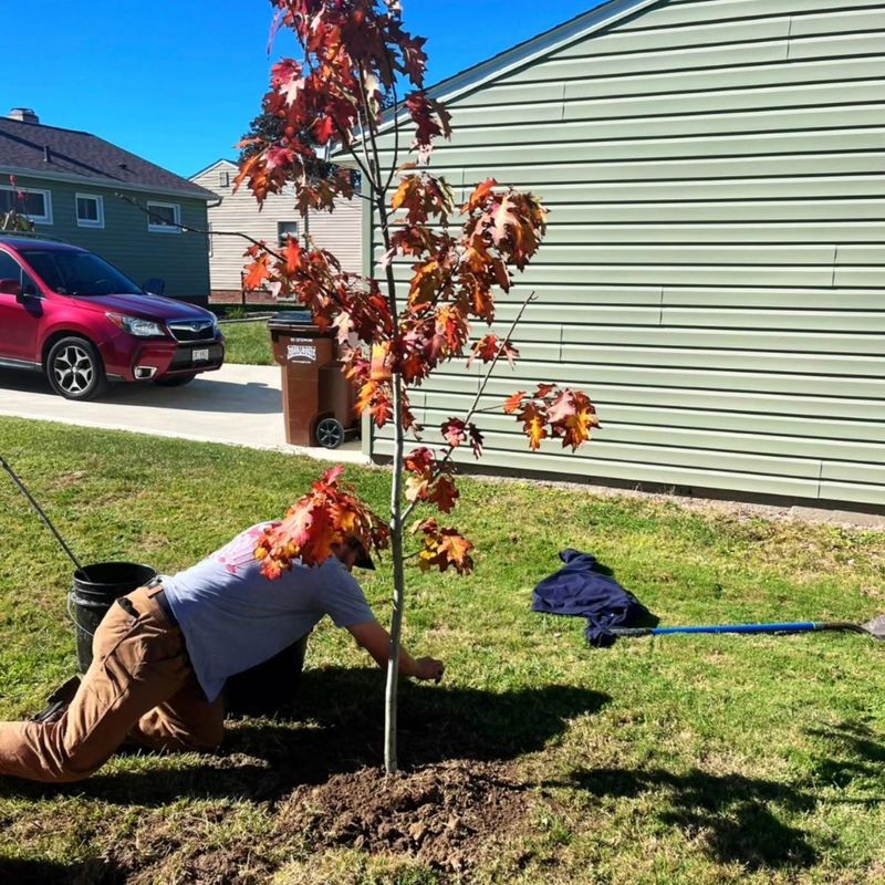 Residential Landscaping