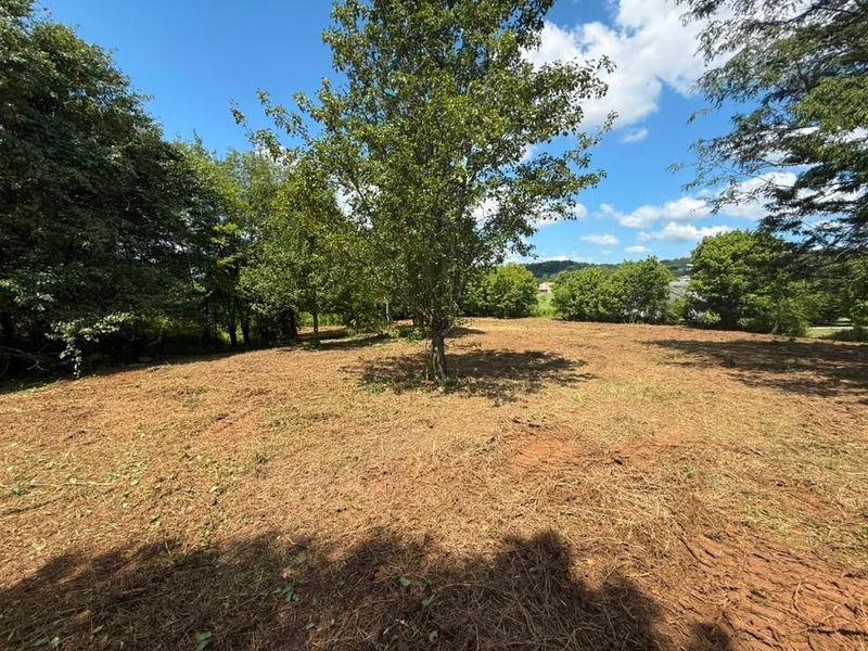 Land Clearing