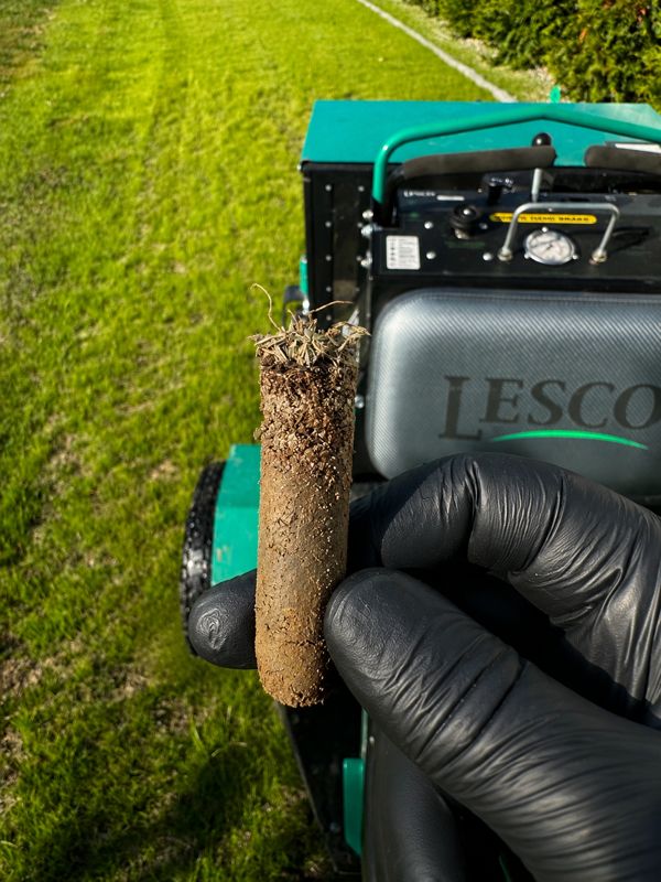 Core Aeration and Over Seeding