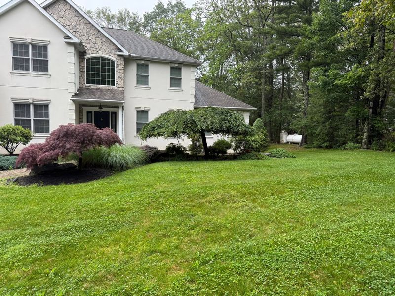 Plant & Shrub Installations