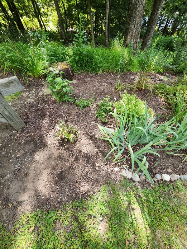 Muclhing & Weeding