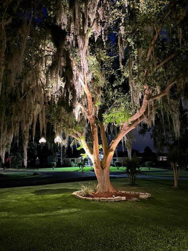 Landscape Lighting