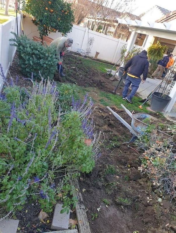 Landscaping