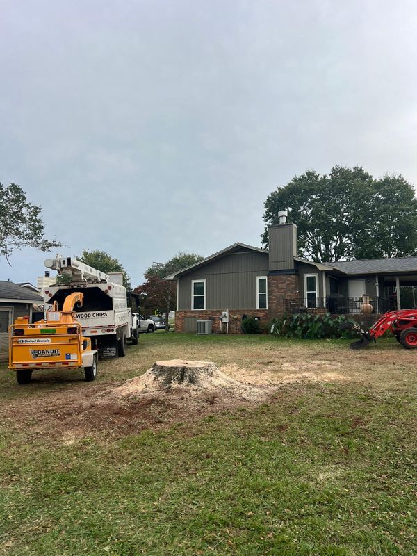 Tree Removal