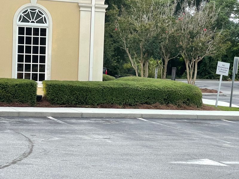 Hedge Trimming