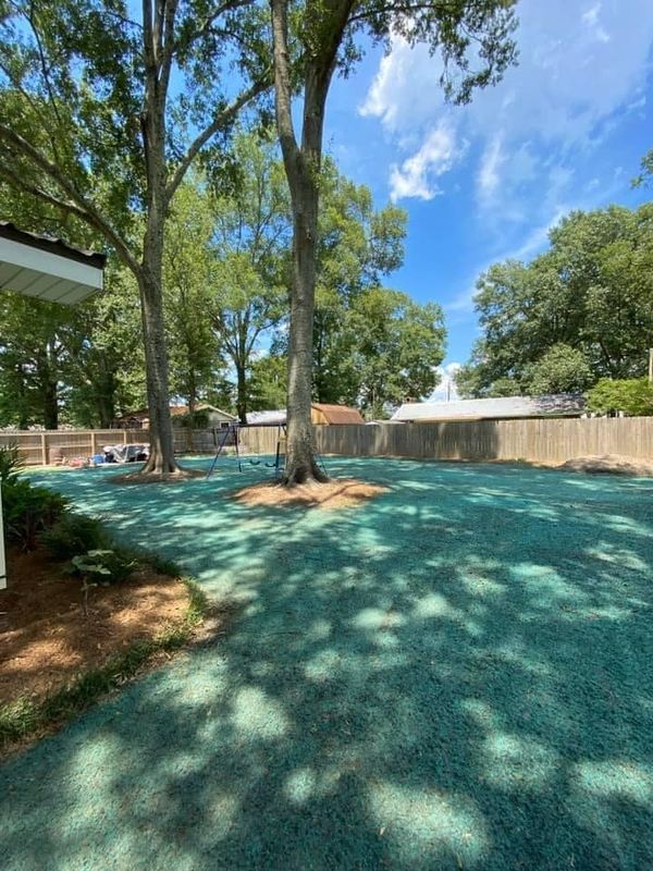 Hydroseeding gallery