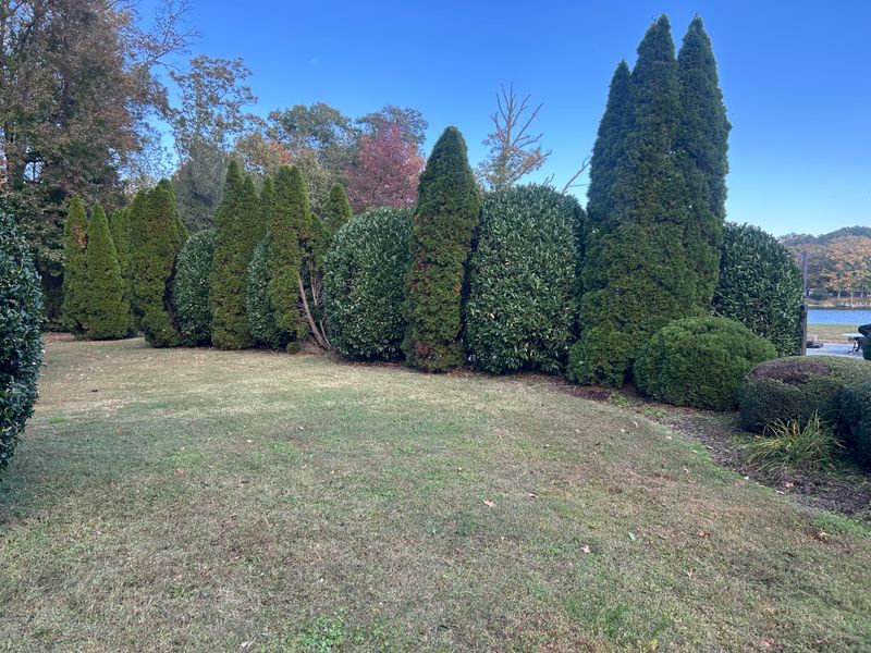 Shrub & Plant Trimming 