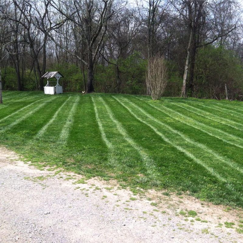 Mowing