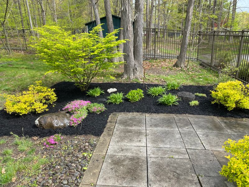 Landscaping