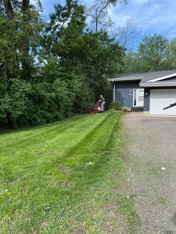Lawn Mowing