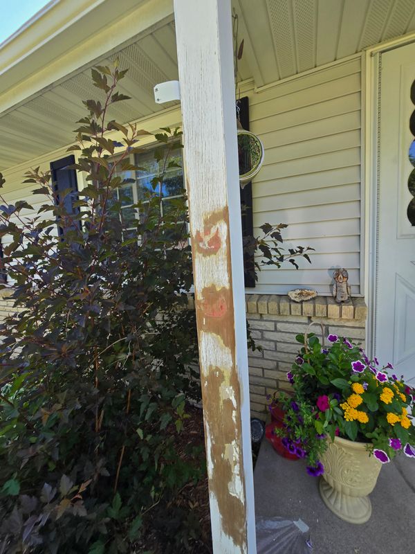 Pressure Washing