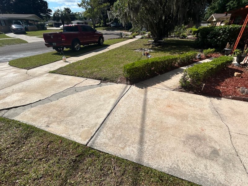 Driveway and Sidewalk Cleaning