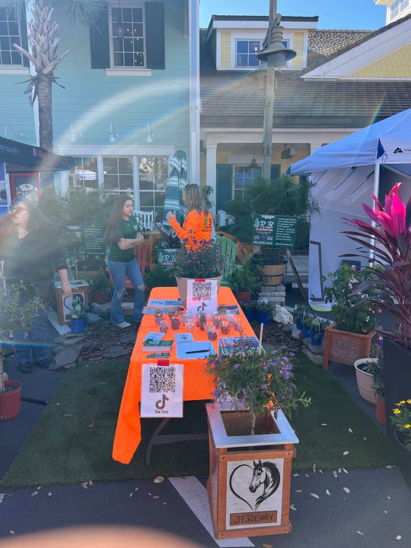 Our displays