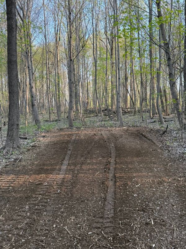 Grading and Leveling