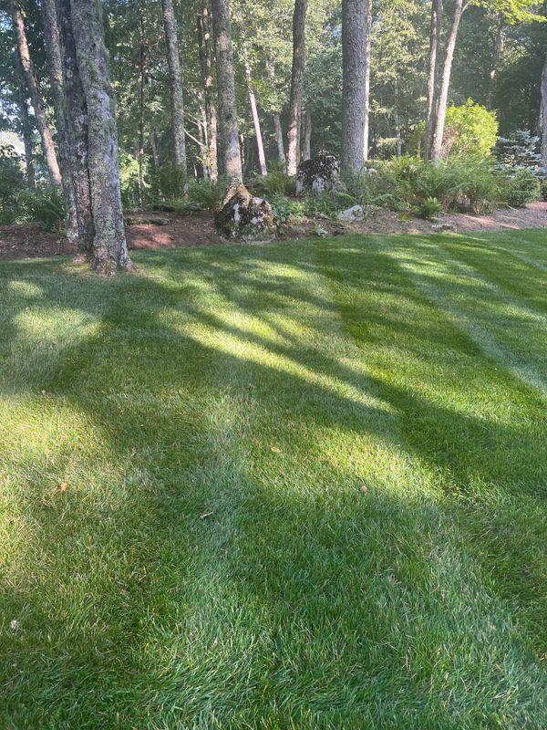 Mowing gallery