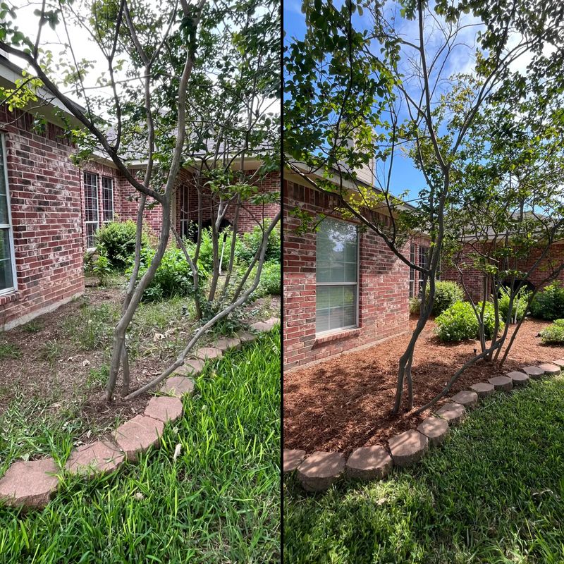 Mulch Installation