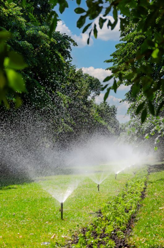 Sprinkler Maintenance And Repairs