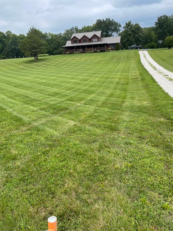 Commercial Mowing