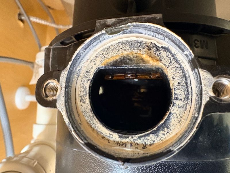 Diagnose drain flies,