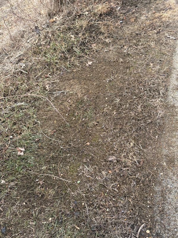 Transforming Pathways: A Cleaner Community with Poop Pals NH